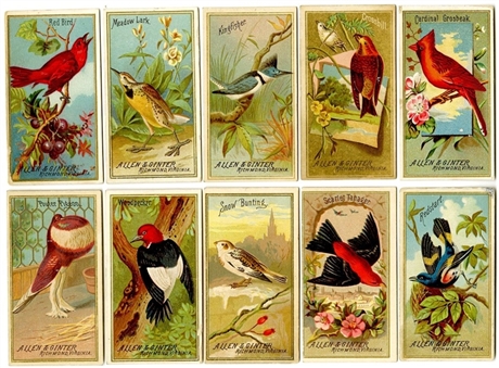 1880s N4 Allen & Ginter "Birds of America" Complete Set (50) 